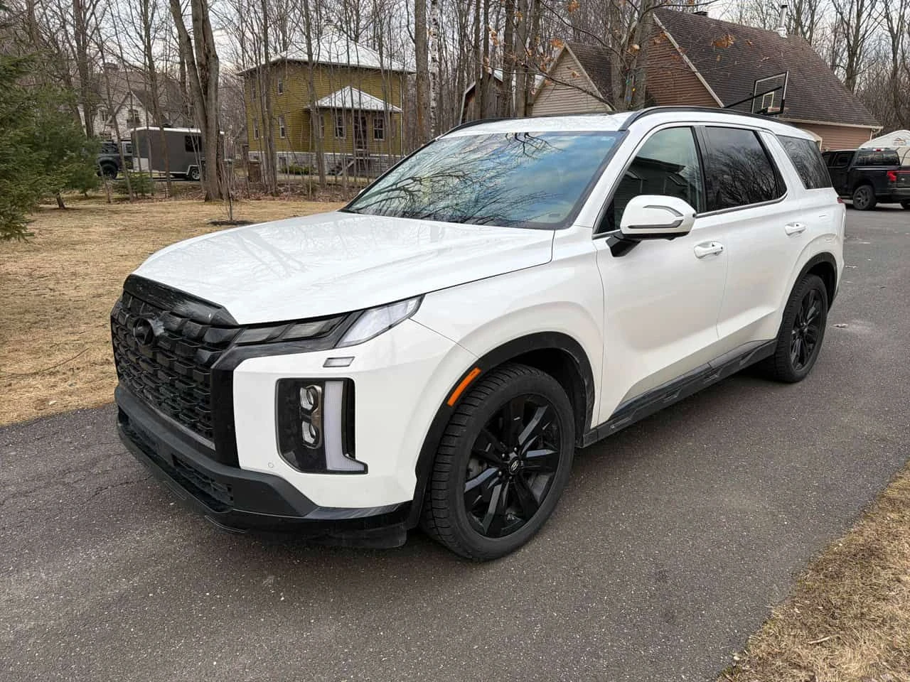 Hyundai Palisade Urban/ОБДУХВАНЕ/ПРЕДСТАВИТЕЛСТВО НА HYUNDAI | Auto.bg — изображение 1