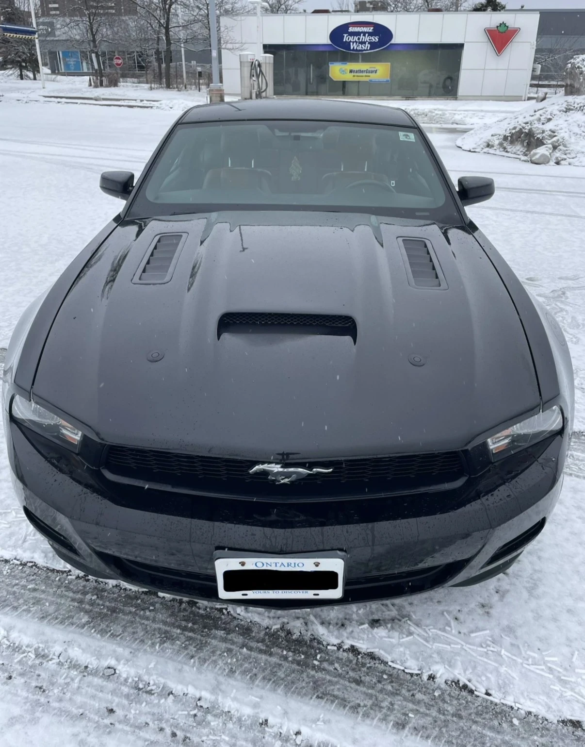 Ford Mustang V6 Premium | ��������� | ���� | ��� ����� | Carfax | Mobile.bg � ����������� 1