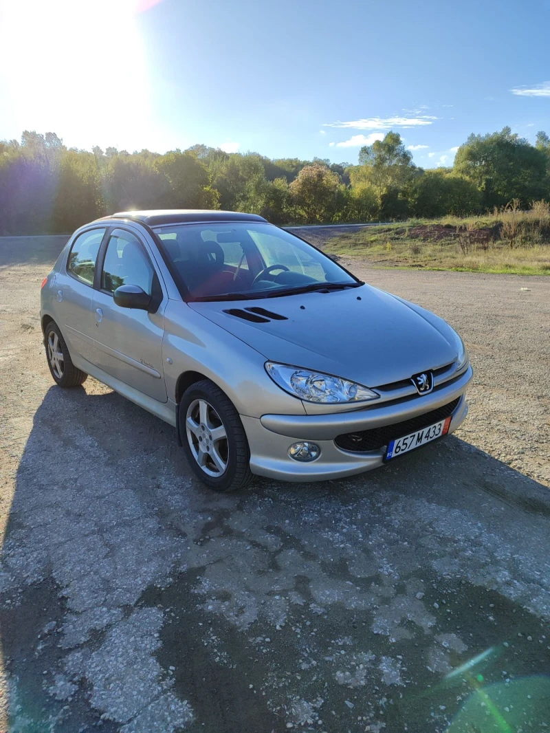 Peugeot 206 1.6HDI, снимка 1 - Автомобили и джипове - 45371978