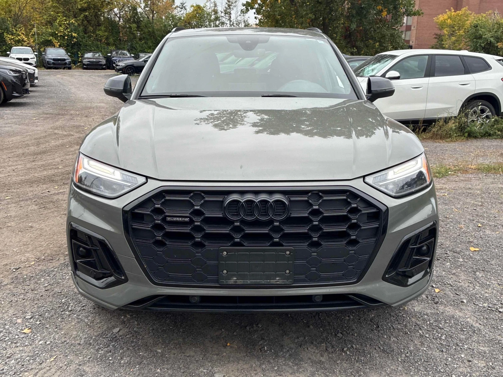 Audi Q5 Progressiv Nardo Grey / Carfax / ������ | Mobile.bg � ����������� 6
