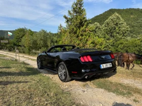 Ford Mustang 2.3 Ecoboost Premium Convertible | Mobile.bg    14