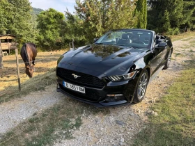 Ford Mustang 2.3 Ecoboost Premium Convertible | Mobile.bg    13
