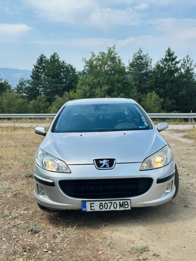 Peugeot 407 2.0 HDI, снимка 2 - Автомобили и джипове - 52621014