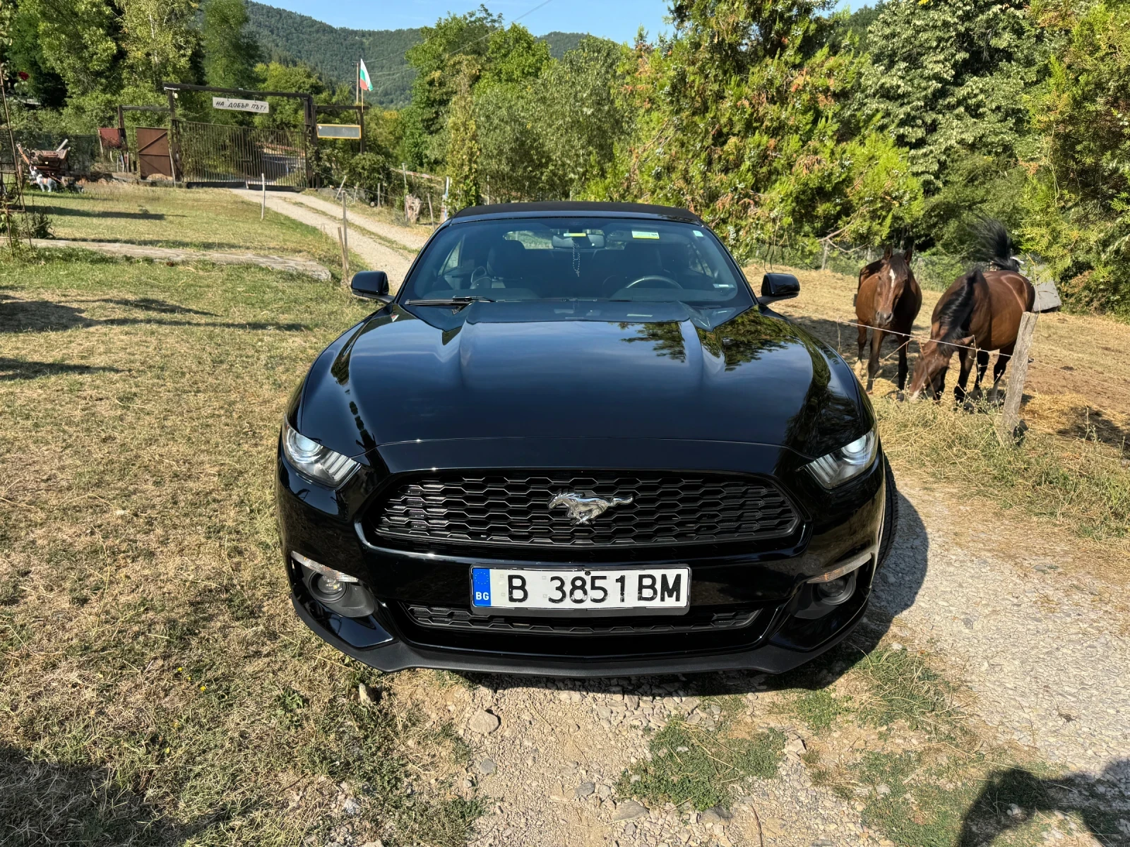 Ford Mustang 2.3 Ecoboost Premium Convertible - изображение 3