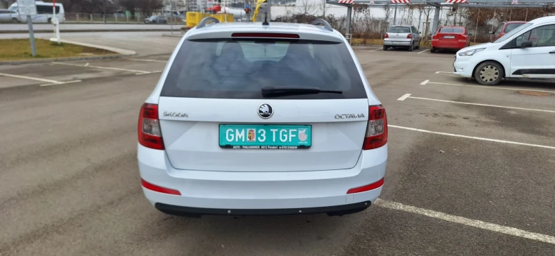 Skoda Octavia Green2.0 TDI(DSG)150kc., снимка 14 - Автомобили и джипове - 48947780