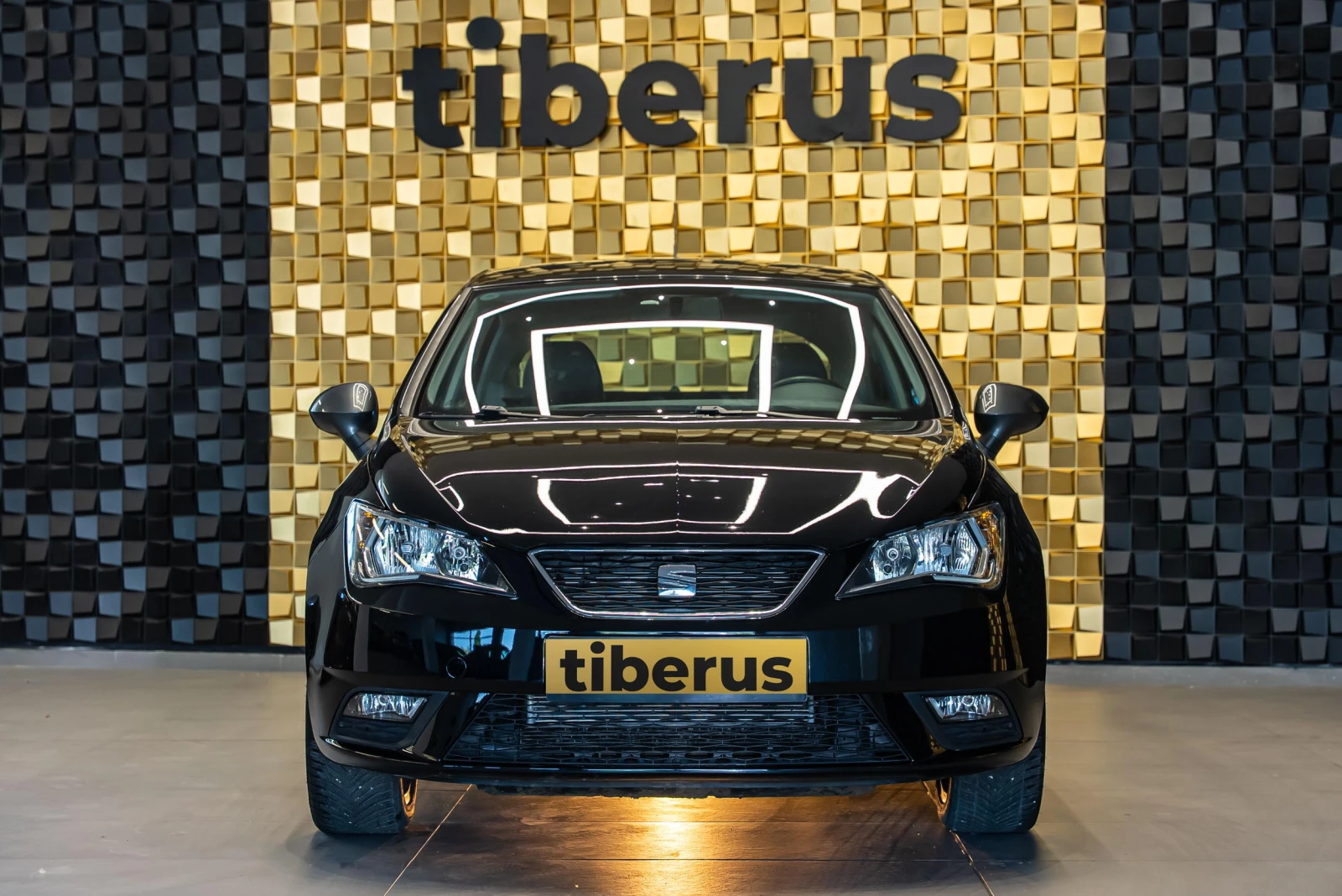 Seat Ibiza 1.4 TDI, снимка 3 - Автомобили и джипове - 54869109