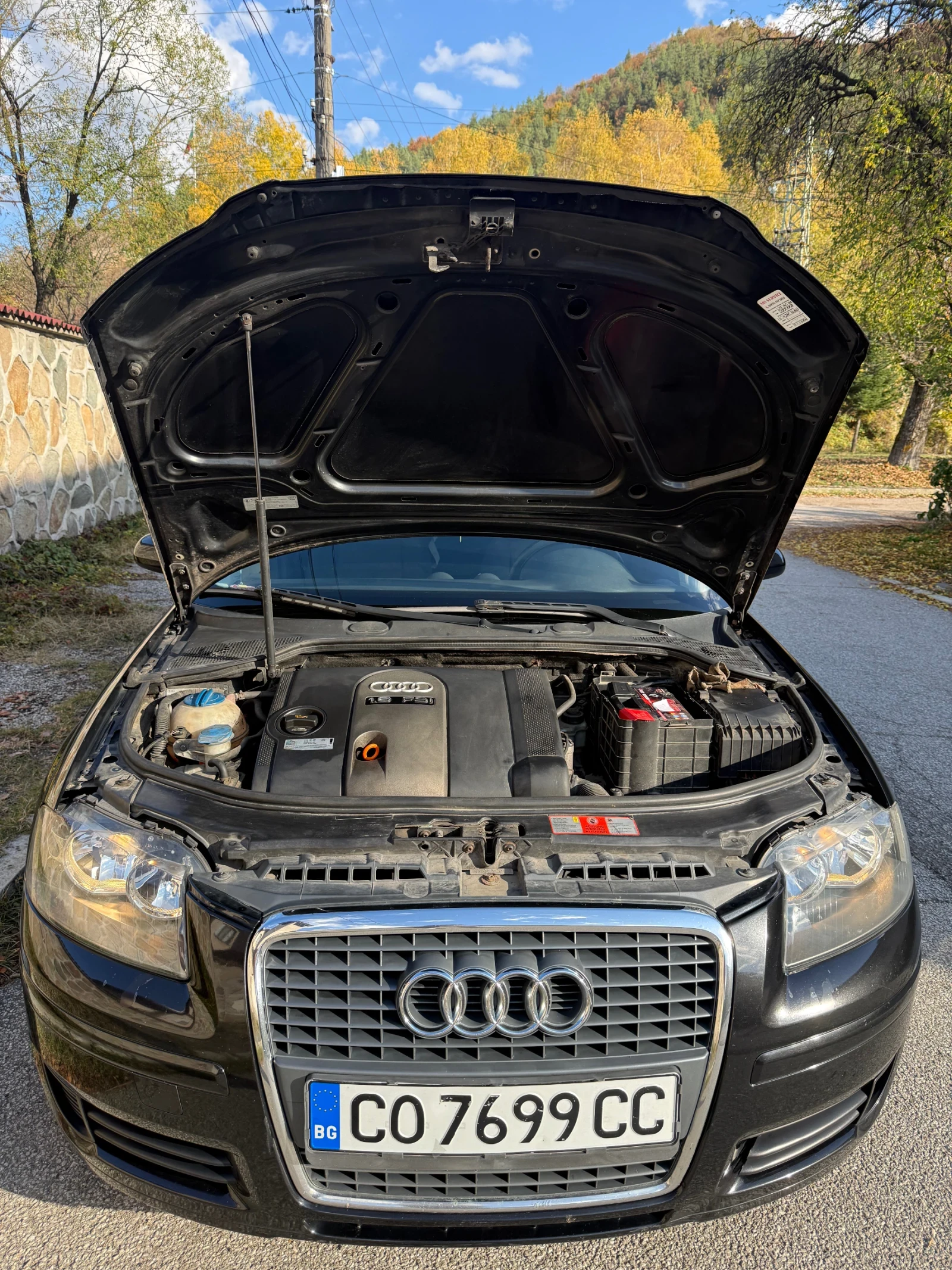 Audi A3  - изображение 6