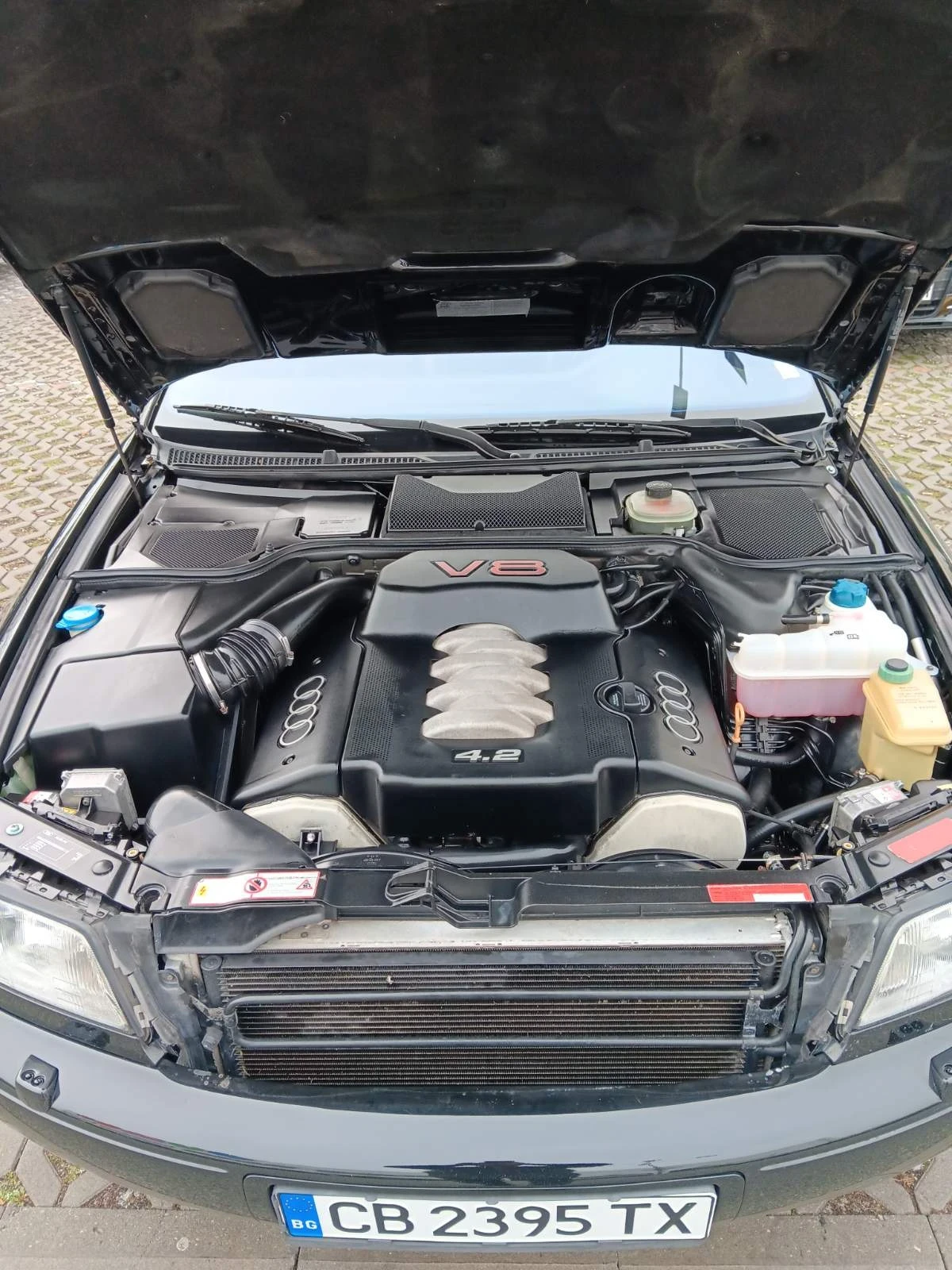 Audi S8, снимка 6 - Автомобили и джипове - 53856666