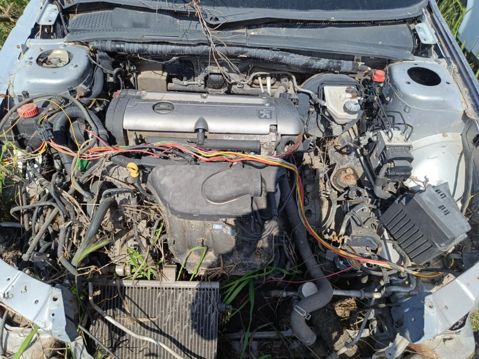 �������� ��������� � ���������� �� ����� | Mobile.bg � ����������� 17