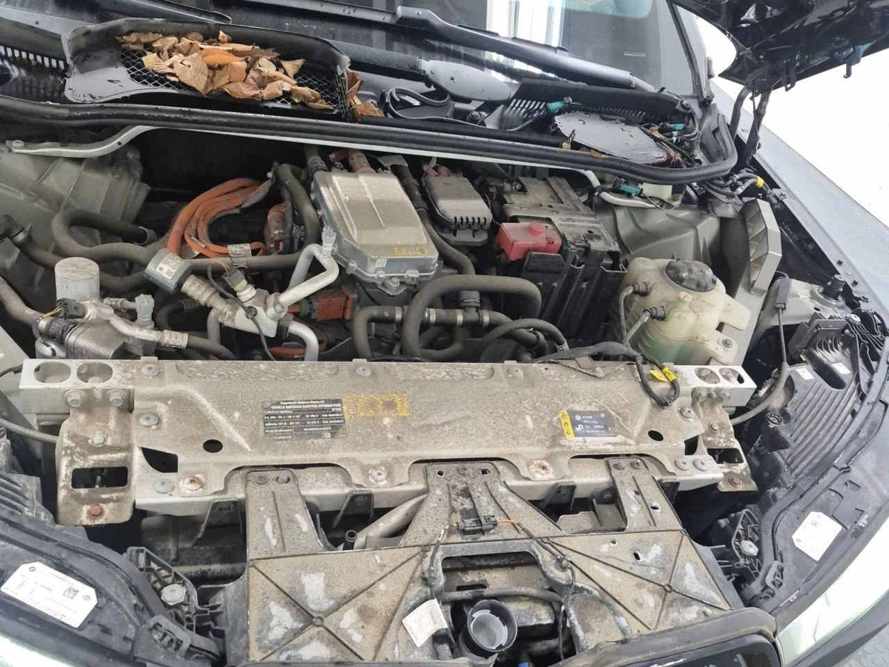 BMW iX Sports Activity Vehicle Xdrive40 | Mobile.bg � ����������� 16