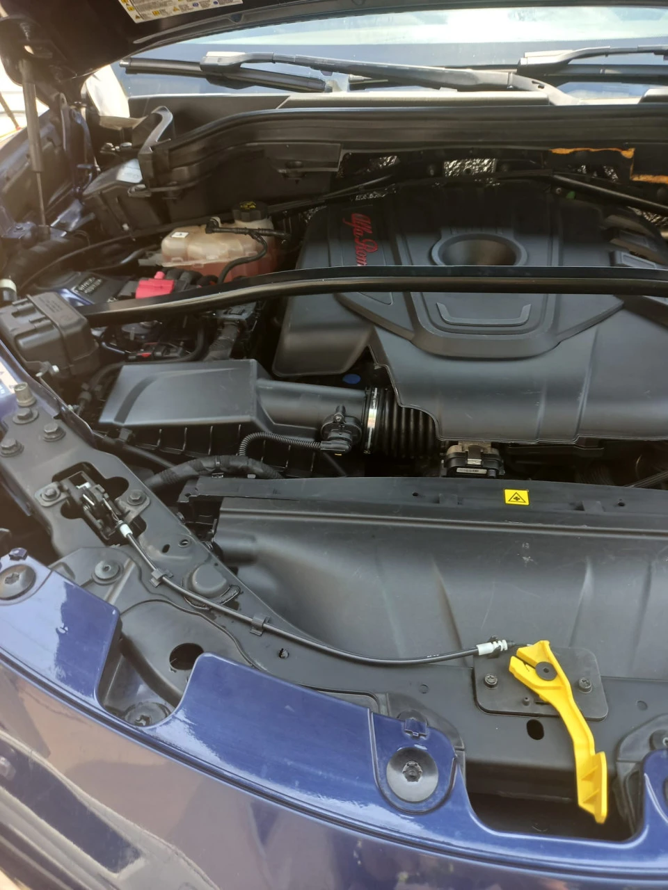 Alfa Romeo Stelvio 2.2 Executive Q4  | Mobile.bg � ����������� 12