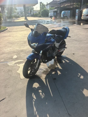 Honda Hornet | Mobile.bg � ����� ������ 6