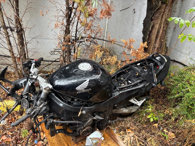 Honda Cbr + един подарък за части, снимка 16 - Мотоциклети и мототехника - 52000190