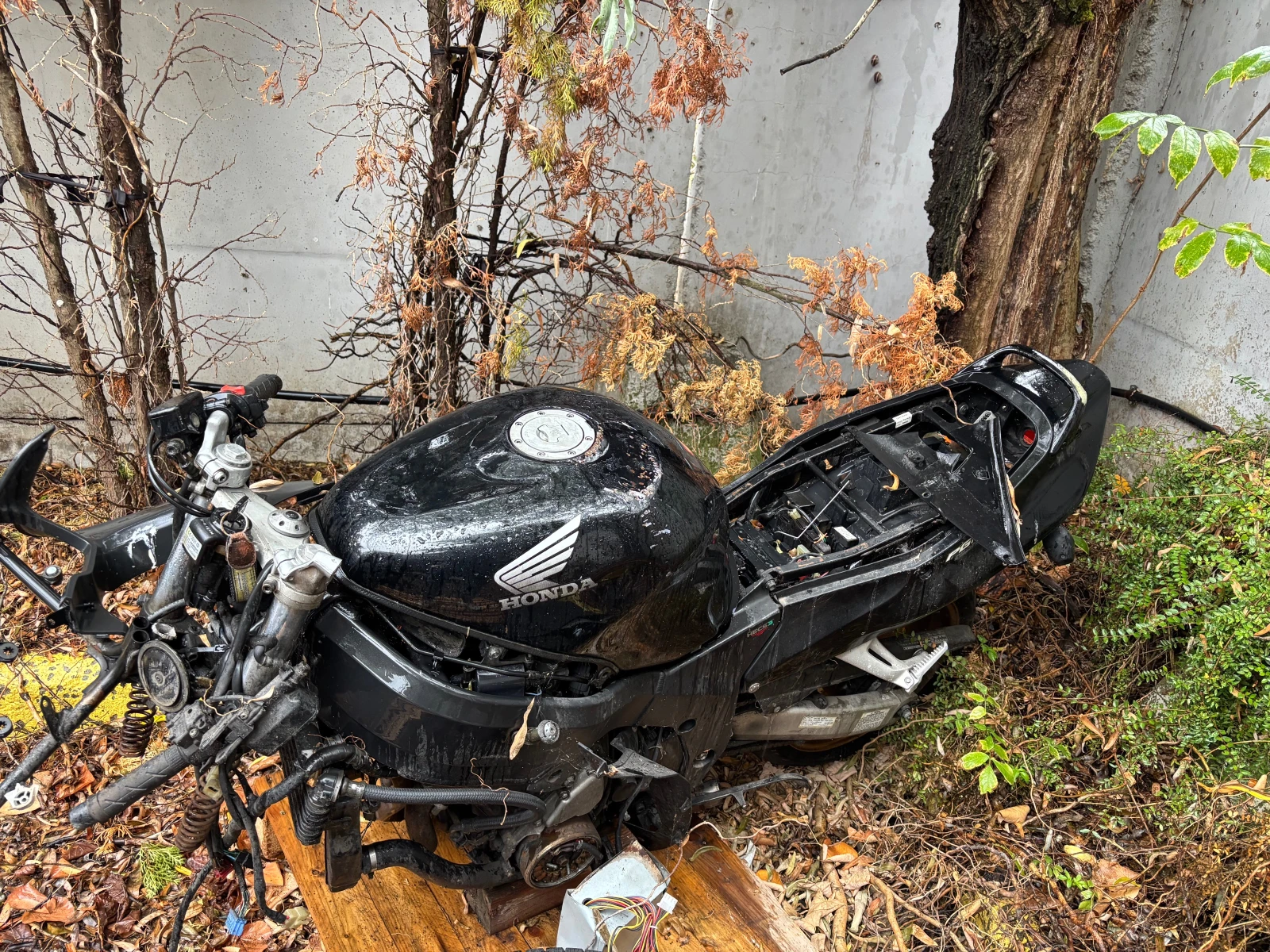 Honda Cbr +     | Mobile.bg   16