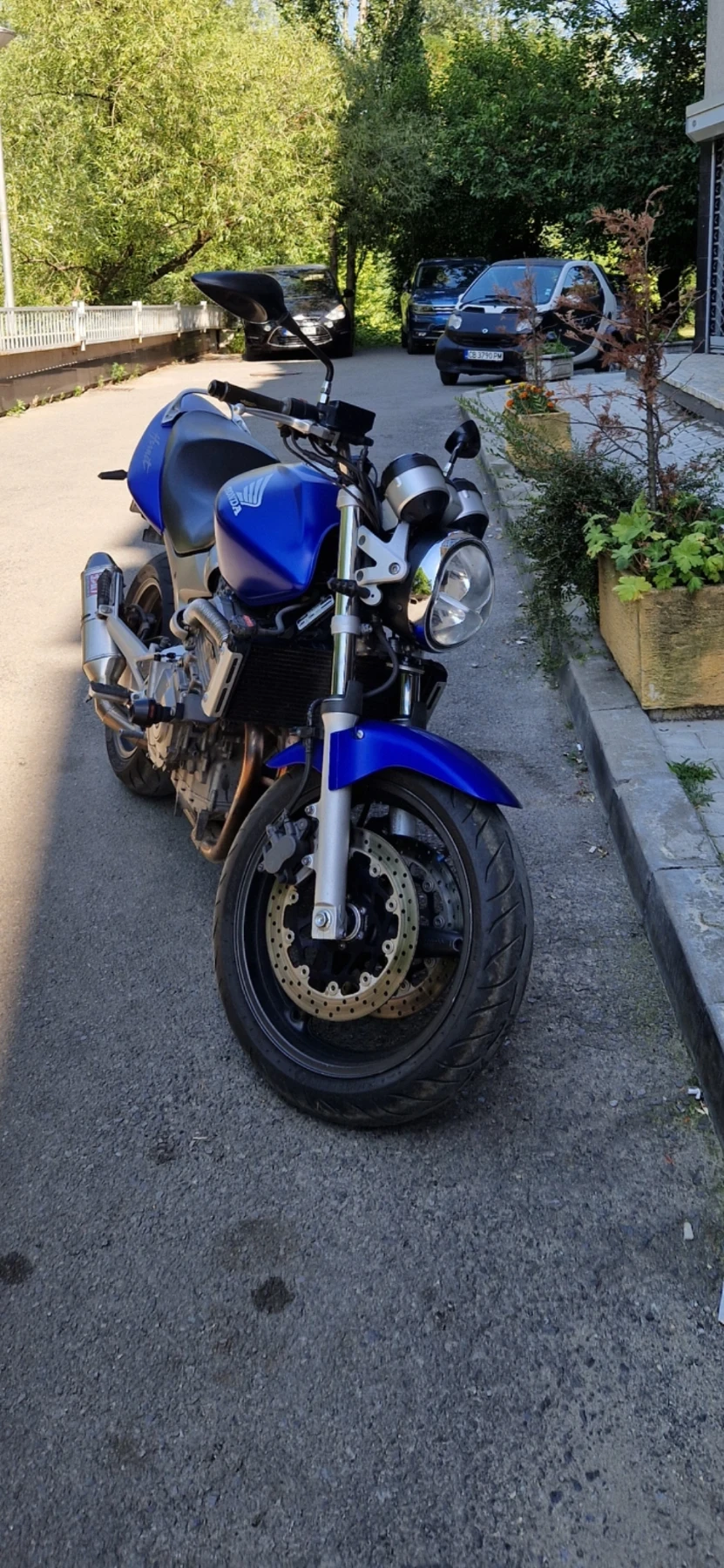 Honda Hornet