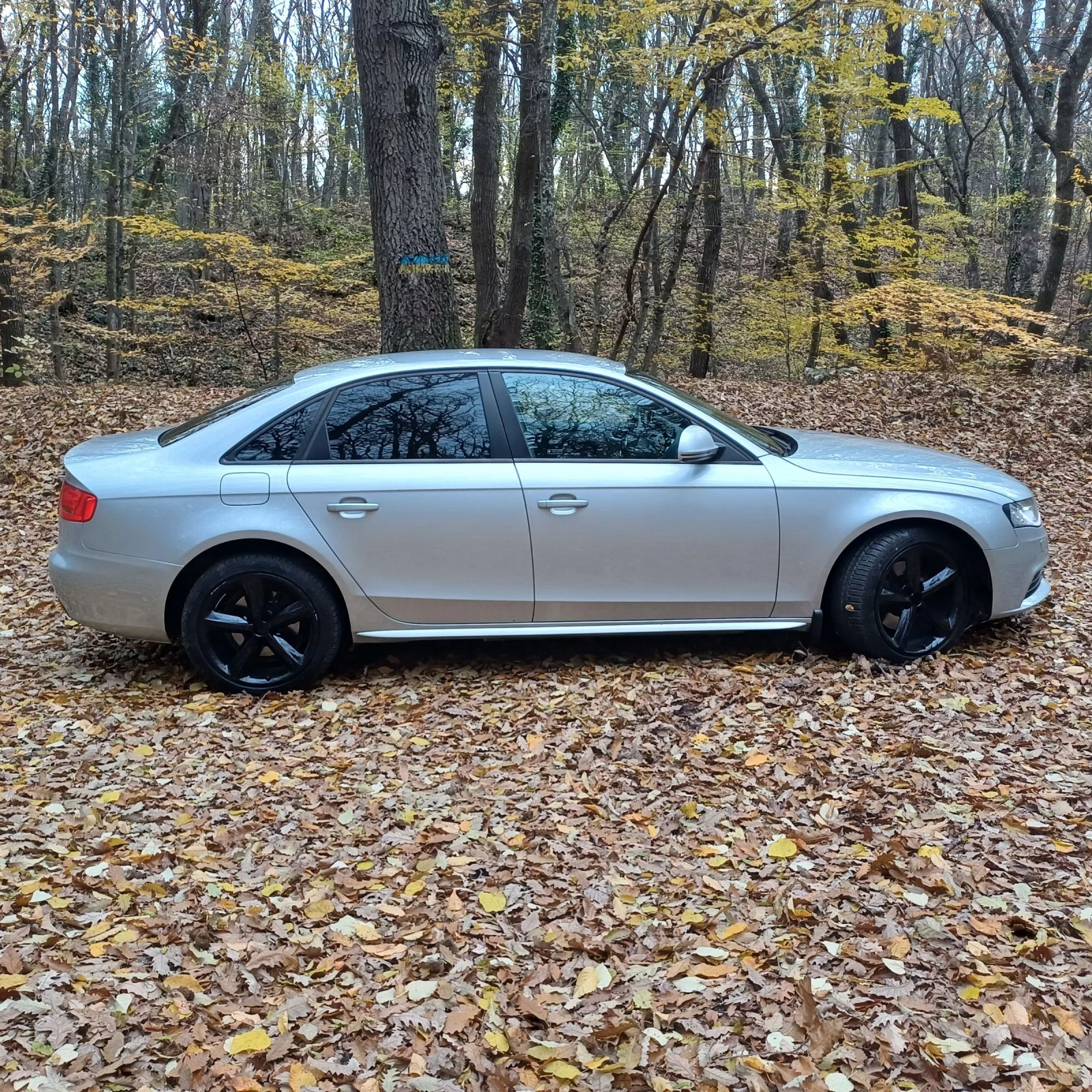 Audi A4 2.0 TDI - изображение 5