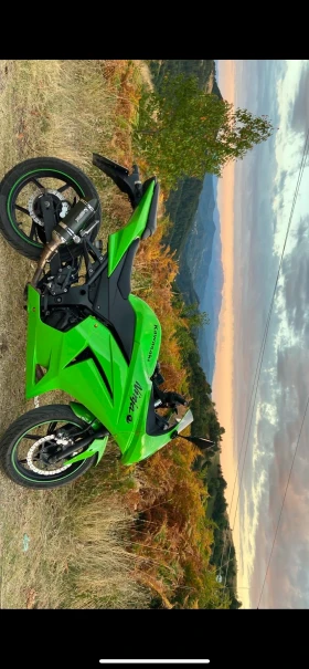 Kawasaki Ninja 250 R, снимка 7